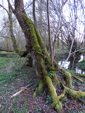 La vallée de l'Ysieux (Luzarches)